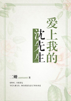 爱上我的沈先生在线阅读