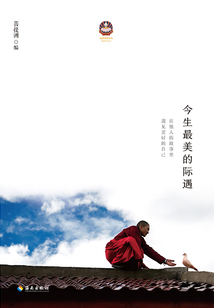 今生最美的际遇在线阅读