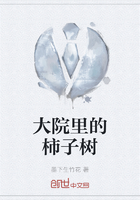 大院里的柿子树在线阅读