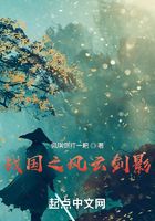 战国之风云剑影