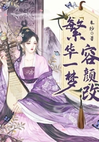 繁華一夢容顏改在線閱讀