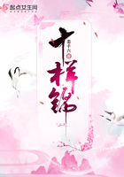 十樣錦在線閱讀