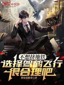 不想擠地鐵選擇駕鶴飛行很合理吧