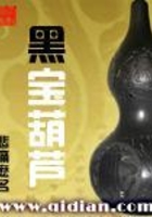 黑寶葫蘆在線閱讀