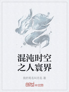 混沌时空之人寰界在线阅读