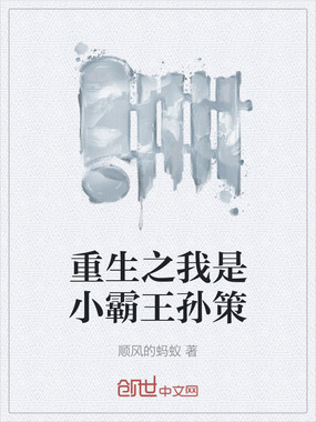 重生之我是小霸王孙策在线阅读