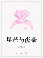 星芒与夜枭在线阅读