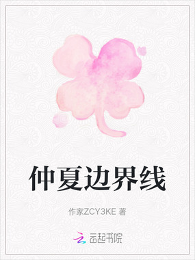 仲夏边界线在线阅读
