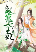 盛寵七王妃在線閱讀
