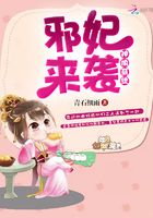 神偷系统,邪妃来袭