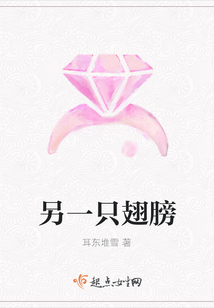 另一只翅膀