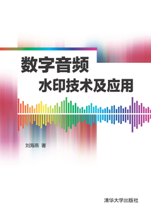 數字音頻水印技術及應用