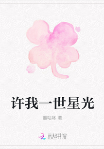 許我一世星光