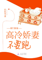 豪门独宠高冷娇妻不要跑在线阅读