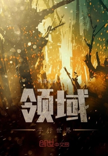 領(lǐng)域平行世界