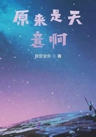 原来是天意啊在线阅读