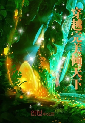 穿越之完美倾天下在线阅读