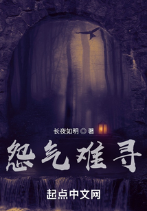 怨气难寻在线阅读