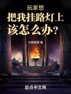 玩家想把我挂路灯上该怎么办?在线阅读