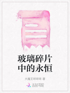 玻璃碎片中的永恒在线阅读