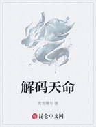 解码天命在线阅读