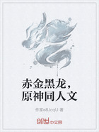 赤金黑龙，原神同人文在线阅读