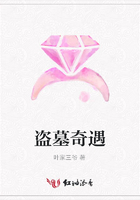 盜墓奇遇在線閱讀