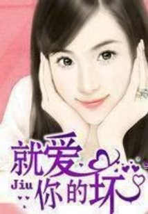 就愛你的壞