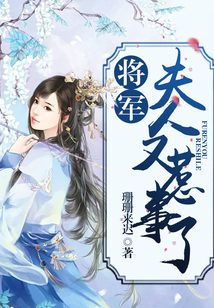 將軍,夫人又惹事了!