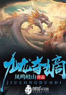 九龙夺嫡 封面
