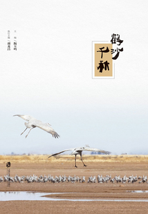鶴沙千秋