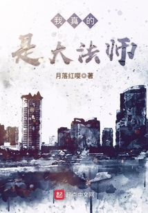 我真的是大法師