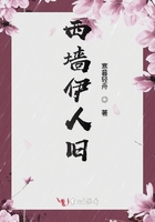 西墻伊人舊在線閱讀