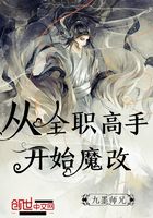 從全職高手開始魔改在線閱讀