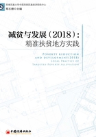 减贫与发展（2018）：精准扶贫地方实践