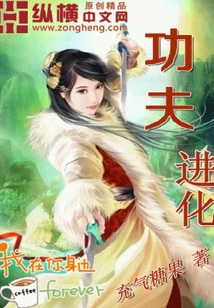 功夫進化