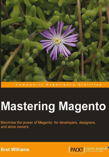 Mastering Magento