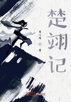 楚翊记在线阅读