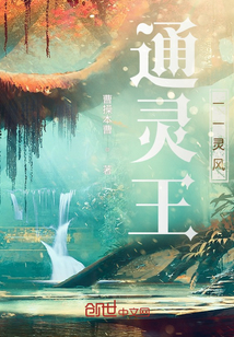 通靈王之靈風