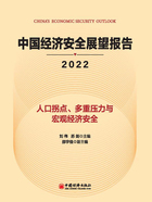 中国经济安全展望报告（2022）在线阅读