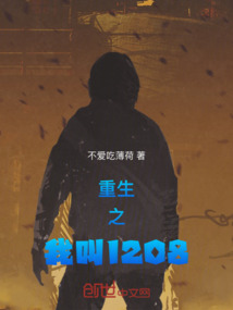 重生之我叫1208