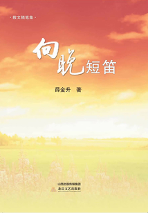 向晚短笛