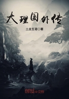大理國外傳在線閱讀