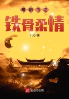 雉朝飞之铁骨柔情在线阅读