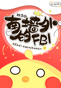 南墻外的FBI
