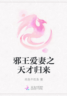 邪王爱妻之天才归来