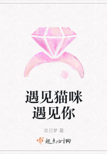 遇见猫咪遇见你