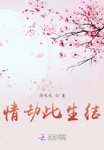 緣定今生之你是我的劫