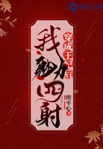 穿成王妃后我魅力四射