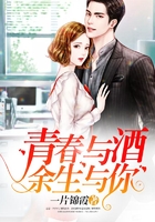 青春與酒余生與你在線閱讀